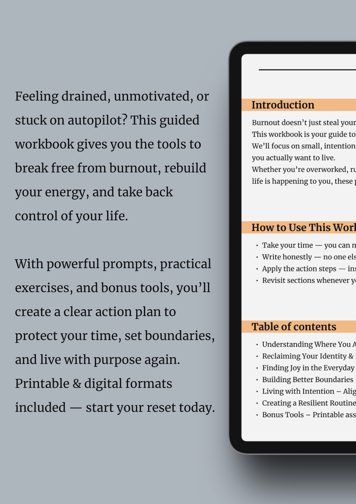 Back in Control: A Guided Workbook to Reclaim Your Life and Energy